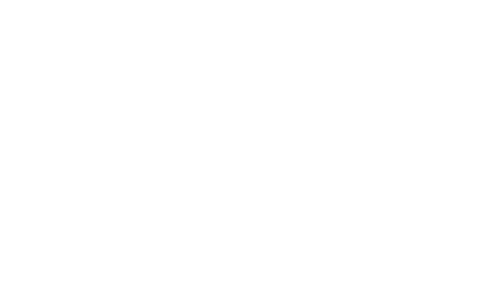 Diest logo
