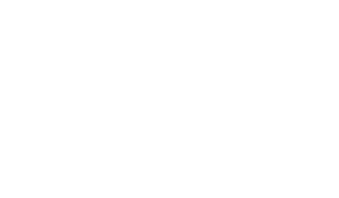Diest logo